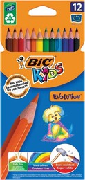 Bic Evolution Kuru Boya 12 Renk Karton Kutu (82902914) - 1