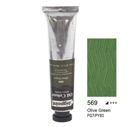 Bigpoint Yağlı Boya 200 ml. 569 Olive Green - 1