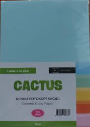 Cactus Fotokopi Kağıdı Renkli A4 80 Gr. 100'Lü 5 Renk - 1