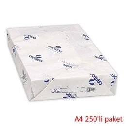 Canson 1557 Dessin Resim Çizim Kağıdı 200 gr. A4 250'li Paket - 1