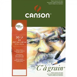 Canson Ca Grain İnce Dokulu Eskiz Çizim Defteri 224 gr. A3 30 Sayfa - 1