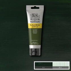 Winsor & Newton Galeria Akrilik Boya 120 ml. 447 Olive Green - 1