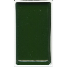 Zig Kuretake Gansai Tambi Tablet Sulu Boya 58 EVERGREEN - 1