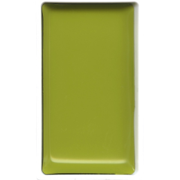 Zig Kuretake Gansai Tambi Tablet Sulu Boya 48 GREENISH YELLOW - 1